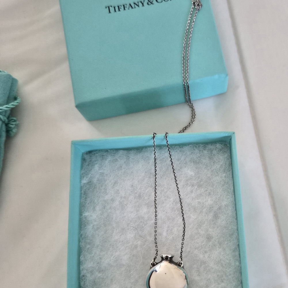 Tiffany & Co. ELSA PERETTI Sterling Silver Bottle Pendant Necklace - Picture 9 of 13